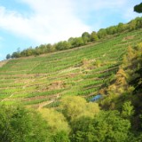 2008F 035 Ahr-Rhein-PB